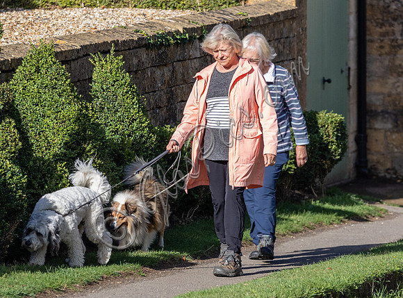 Sue Barker out with her dog