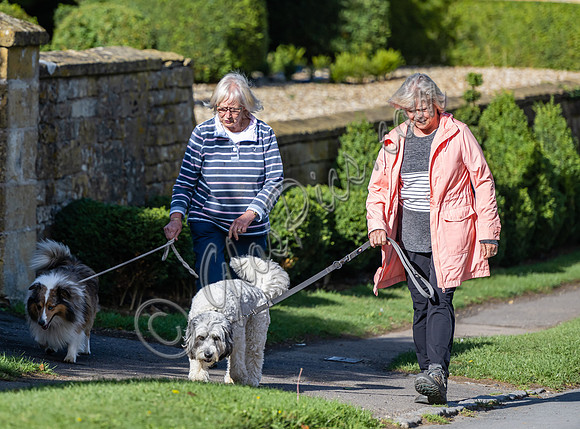 Sue Barker out with her dog