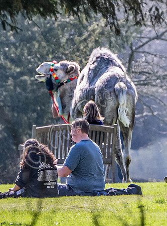 On set filming on location