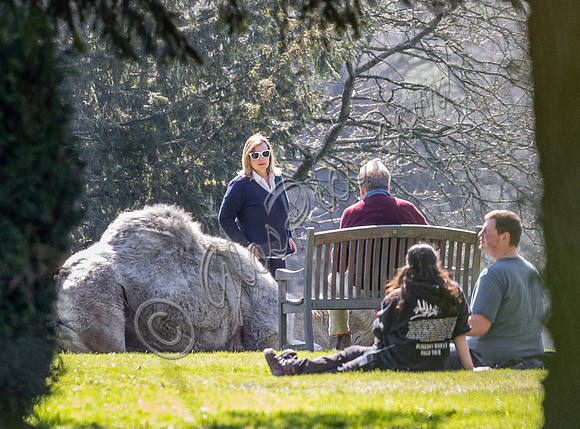On set filming on location