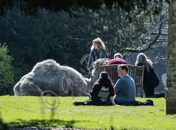 On set filming on location