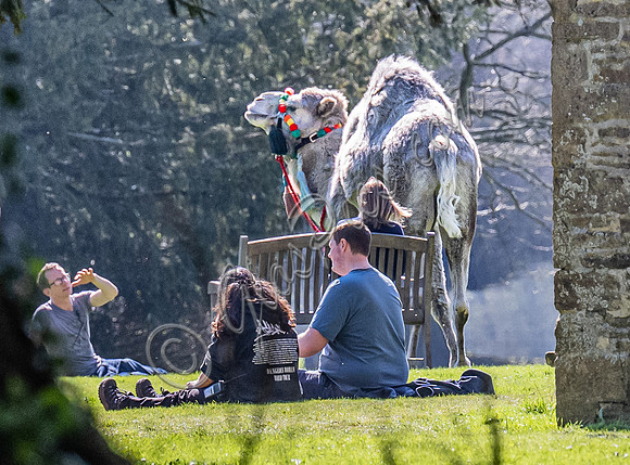 On set filming on location