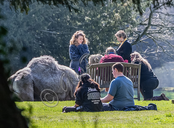 On set filming on location