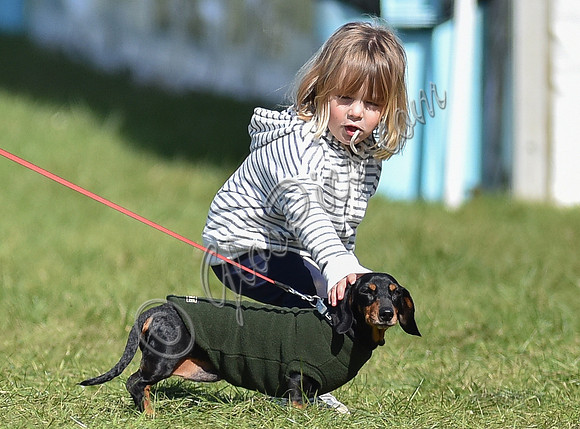 Mia Tindall petting Daschund