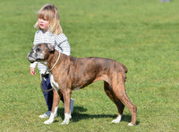 Mia Tindall with boxer dog Spey