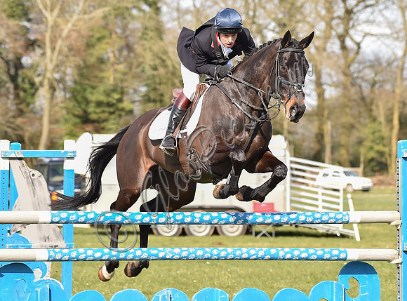 Harry Meade show jumping