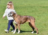 Mia Tindall with boxer dog Spey