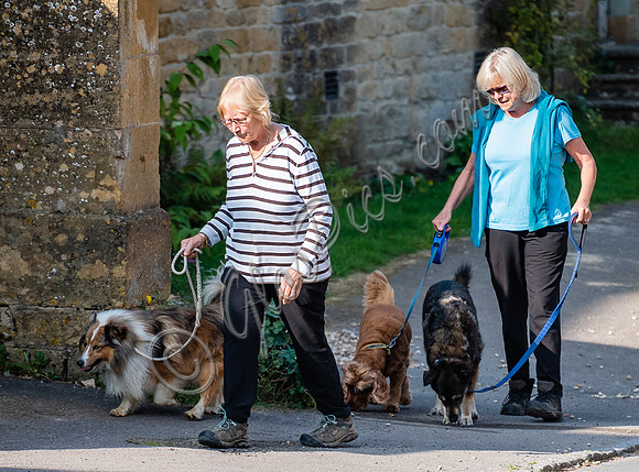 Former Tennis Star and TV Presenter Sue Barker walking  her dogs