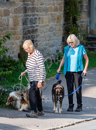 Former Tennis Star and TV Presenter Sue Barker walking  her dogs