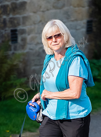 Former Tennis Star and TV Presenter Sue Barker walking  her dogs