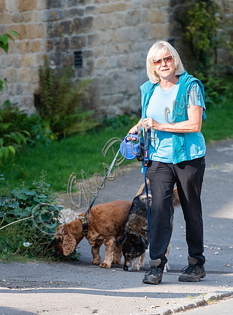 Former Tennis Star and TV Presenter Sue Barker walking  her dogs