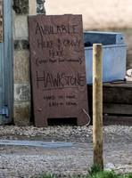 brewers were seen unloading barrels