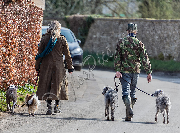 Kate Moss and James Brown walking dogs