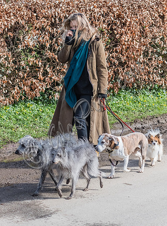 Kate Moss dog walking