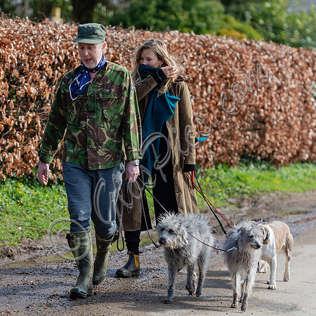 Kate Moss and James Brown walking dogs