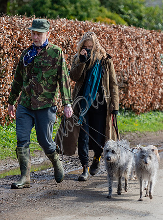 Kate Moss and James Brown walking dogs
