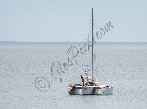 Trimaran "Teignmouth Electron"
