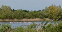 Filming "The Boys In The Boat" on location near Swindon, Wiltshire
