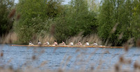 Filming "The Boys In The Boat" on location near Swindon, Wiltshire