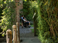 Richard Hammond in wheelchair