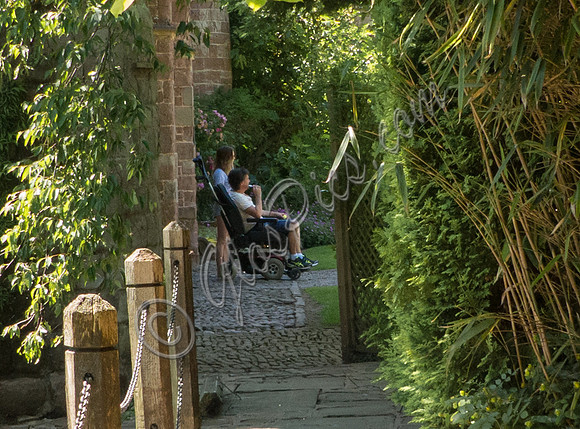 Richard Hammond in wheelchair