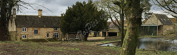 IMG_1008