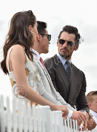 celebrity guests Gold Cup Polo 2018