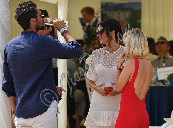 celebrity guests Gold Cup Polo 2018