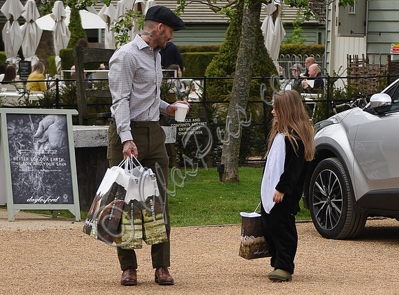 David and Harper Beckham