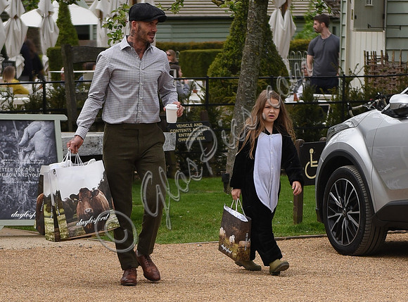David and Harper Beckham