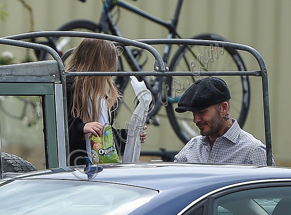David and Harper Beckham