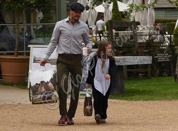 David and Harper Beckham