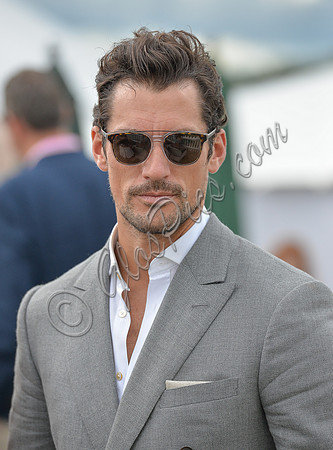 David Gandy