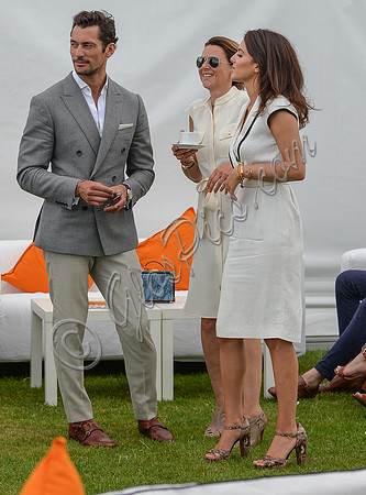 David Gandy with new girlfriend, junior barrister Stephanie Mendoros