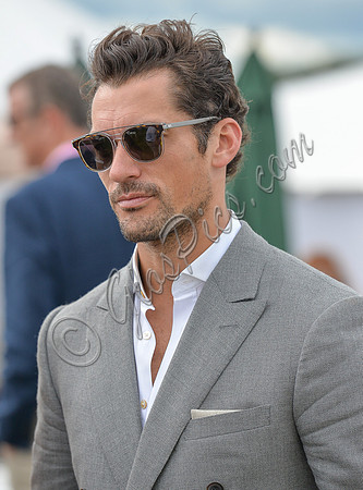 David Gandy