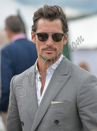David Gandy
