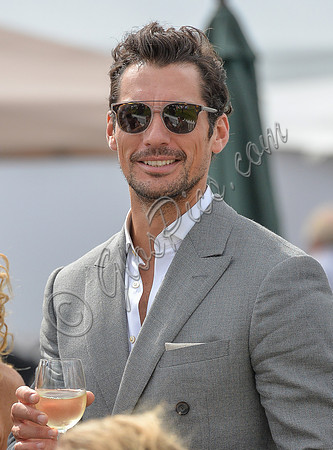 David Gandy