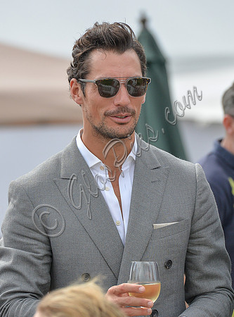 David Gandy
