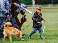 Prince William wearing 'Wellipet' froggy wellies and Barbour style jacket