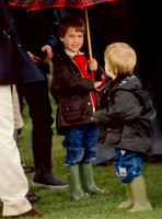Prince William of Wales