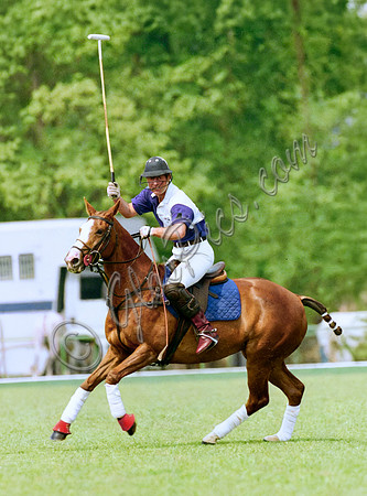 Prince Charles in Cirencester Park colours on polo pony