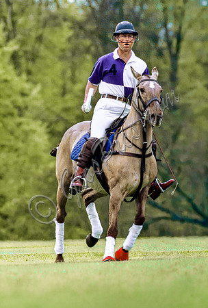 Prince Charles in Cirencester Park colours on polo pony