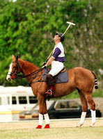 Prince Charles in Cirencester Park colours on polo pony