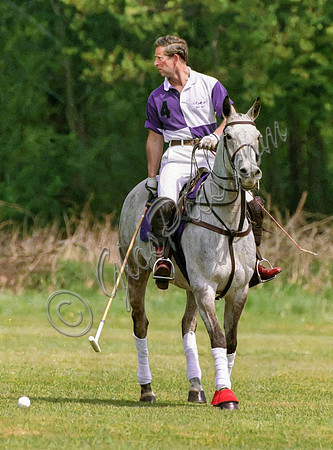 Prince Charles in Cirencester Park colours on polo pony