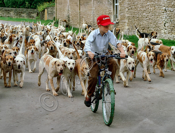 Prince Harry on bicycle with the Beaufort Hounds