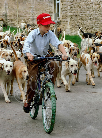Prince Harry on bicycle with the Beaufort Hounds