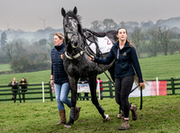 'Cartesien' in the parade ring