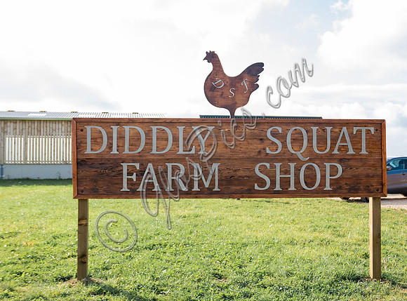 Diddly Squat Farm Shop