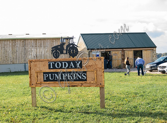 Diddly Squat Farm Shop