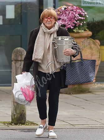 TV presenter Anne Robinson carrying ice buckets